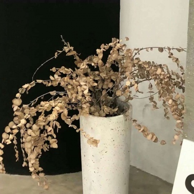 兽设表情绘制技巧FurryQQ群